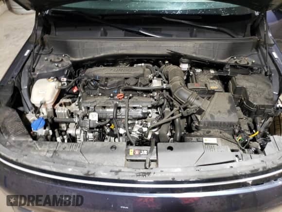 2024 Hyundai Kona Limited с VIN KM8HE3A31RU169573, выставлен на аукционе Copart как лот 87042605 с пробегом 39 321 миль миль и Чистый • Clean title. История ставок и продаж доступна на DreamBid. Изображение 12.