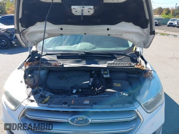 2017 Ford Escape SE с VIN 1FMCU9GD1HUA89219, выставлен на аукционе IAAI как лот 43510705 с пробегом 159 434 миль миль и . История ставок и продаж доступна на DreamBid. Изображение 10.