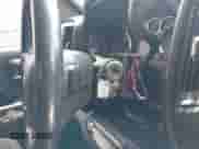 2015 Chevrolet Silverado 1500 LT z VIN 1GCVKREH0FZ195024, wystawiony jako IAAI lot #42761282 z przebiegiem Nie podano mil oraz . Historia ofert i sprzedaży dostępna na DreamBid. Obrazek 11.