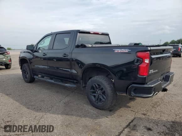 2022 Chevrolet Silverado 1500 LT Trail Boss with VIN 1GCPYFEL0NZ231724, listed as a Copart auction lot 67384775 with 114,741 mi miles and Salvage title. Bid and sale history available at DreamBid. Image 2.