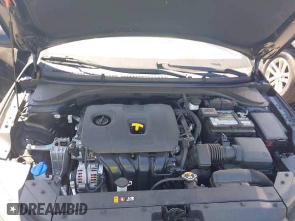 2020 Hyundai Elantra SEL z VIN 5NPD84LF5LH615460, wystawiony jako IAAI lot #43246168 z przebiegiem 49 530 mil mil oraz . Historia ofert i sprzedaży dostępna na DreamBid. Obrazek 10.