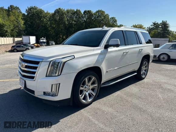 2015 Cadillac Escalade Luxury with VIN 1GYS4MKJ4FR597985, listed as a Copart auction lot 80715845 with 190,110 mi miles and Clean title. Bid and sale history available at DreamBid. Image 1.