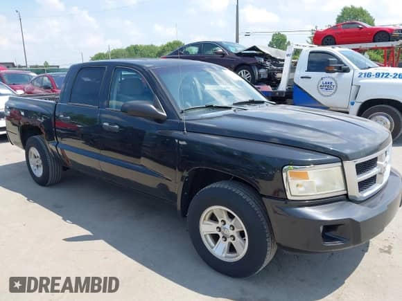2008 Dodge Dakota SLT with VIN 1D7HW48K78S593988, listed as a IAAI auction lot 42825788 with 216,208 mi miles and . Bid and sale history available at DreamBid. Image 1.