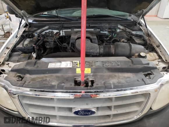 2002 Ford F-150 XL z VIN 1FTRF18W72KB04366, wystawiony jako Copart lot #54933503 z przebiegiem 182 593 mil mil oraz Nie do naprawy • Non repairable. Historia ofert i sprzedaży dostępna na DreamBid. Obrazek 11.