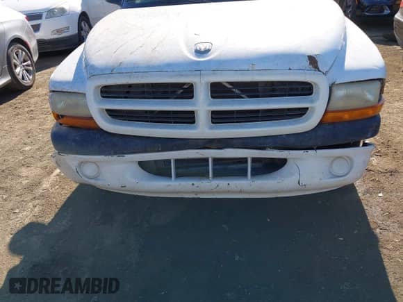1999 Dodge Dakota SLT with VIN 1B7FL26X1XS190195, listed as a IAAI auction lot 41355250 with 223,174 mi miles and . Bid and sale history available at DreamBid. Image 6.