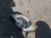 2013 Chevrolet Equinox LT z VIN 2GNFLNEK1D6404986, wystawiony jako Copart lot #81649755 z przebiegiem 253 205 mil mil oraz Czysty tytuł • Clean title. Historia ofert i sprzedaży dostępna na DreamBid. Obrazek 13.