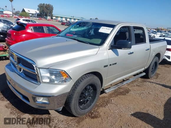 2009 Dodge 1500 Sport z VIN 1D3HB13T69J505466, wystawiony jako IAAI lot #42278465 z przebiegiem 228 700 mil mil oraz . Historia ofert i sprzedaży dostępna na DreamBid. Obrazek 17.