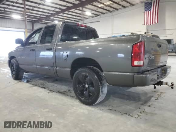 2002 Dodge 1500 with VIN 1D7HA18Z82J142947, listed as a Copart auction lot 69223505 with 169,266 mi miles and Salvage title. Bid and sale history available at DreamBid. Image 2.