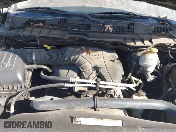 2010 Dodge 1500 SLT with VIN 1D7RV1CT6AS119686, listed as a IAAI auction lot 41671468 with 306,952 mi miles and . Bid and sale history available at DreamBid. Image 10.