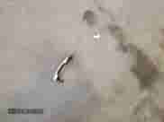 2017 Hyundai Sonata SE with VIN 5NPE24AFXHH548712, listed as a Copart auction lot 81559405 with 95,576 mi miles and Salvage title. Bid and sale history available at DreamBid. Image 12.