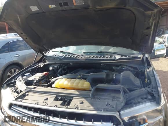 2018 Ford F-150 XL z VIN 1FTEW1EG1JFE55731, wystawiony jako IAAI lot #43173595 z przebiegiem 221 401 mil mil oraz . Historia ofert i sprzedaży dostępna na DreamBid. Obrazek 10.