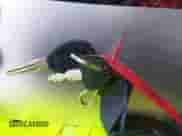 1994 Nissan Frontier with VIN 1N6SD11S8RC306682, listed as a IAAI auction lot 41725950 with 169,022 mi miles and . Bid and sale history available at DreamBid. Image 11.