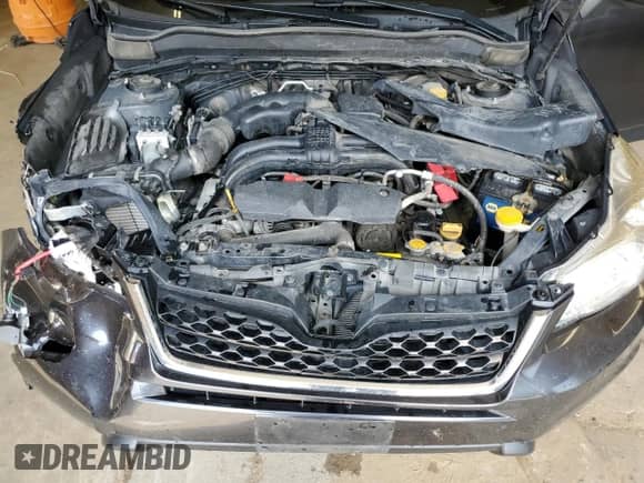 2014 Subaru Forester Premium with VIN JF2SJACC3EG447519, listed as a Copart auction lot 66561035 with 119,986 mi miles and Salvage title. Bid and sale history available at DreamBid. Image 12.