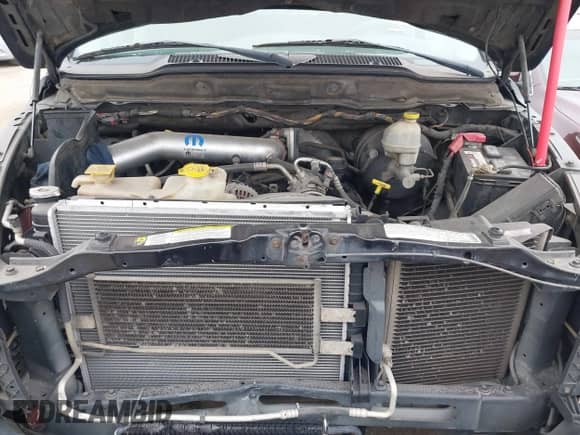 2008 Dodge 1500 SLT с VIN 1D3HA18218J186088, выставлен на аукционе IAAI как лот 41268694 с пробегом 184 097 миль миль и . История ставок и продаж доступна на DreamBid. Изображение 10.