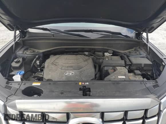 2024 Hyundai Palisade Calligraphy with VIN KM8R7DGE2RU655483, listed as a Copart auction lot 67091995 with 82,959 mi miles and Salvage title. Bid and sale history available at DreamBid. Image 12.