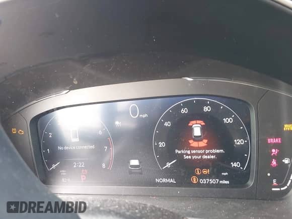 2024 Honda Pilot Elite with VIN 5FNYG1H82RB033854, listed as a IAAI auction lot 43380683 with 37,507 mi miles and . Bid and sale history available at DreamBid. Image 7.