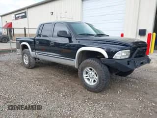 2004 Dodge Dakota SLT with VIN 1D7HG48N94S740006, listed as a IAAI auction lot 42241181 with 221,192 mi miles and . Bid and sale history available at DreamBid. Image 1.