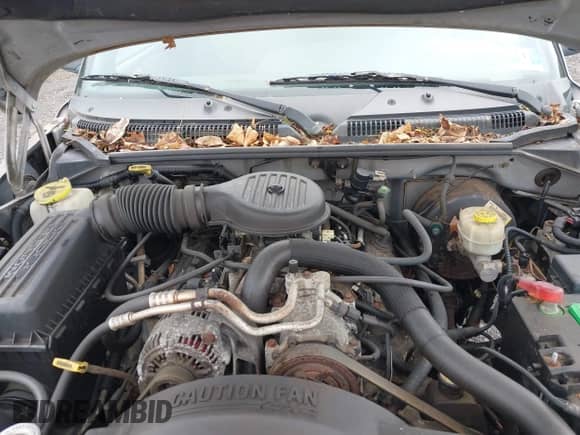 1999 Dodge Dakota SLT с VIN 1B7GG22Y7XS235244, выставлен на аукционе IAAI как лот 42282940 с пробегом 113 224 миль миль и . История ставок и продаж доступна на DreamBid. Изображение 10.