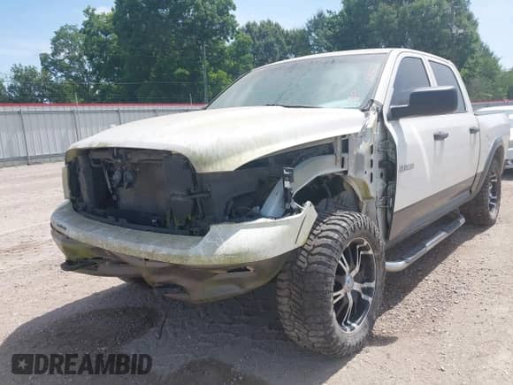 2009 Dodge 1500 SLT with VIN 1D3HB13P19S750446, listed as a IAAI auction lot 42418275 with 251,093 mi miles and . Bid and sale history available at DreamBid. Image 6.
