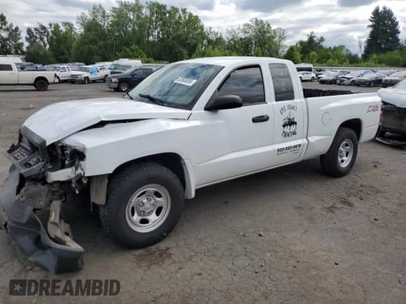 2006 Dodge Dakota ST with VIN 1D7HE22K76S616859, listed as a Copart auction lot 62903055 with 132,236 mi miles and Salvage title. Bid and sale history available at DreamBid. Image 1.