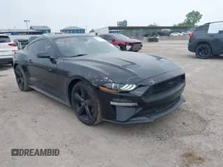 2023 Ford Mustang EcoBoost with VIN 1FA6P8TH1P5106126, listed as a IAAI auction lot 42252165 with 122,040 mi miles and . Bid and sale history available at DreamBid. Image 1.