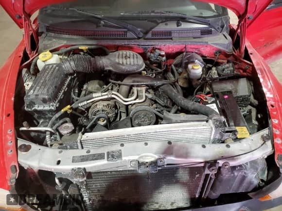 1999 Dodge Dakota SLT with VIN 1B7GL26Z4XS233613, listed as a Copart auction lot 89320955 with 221,289 mi miles and Clean title. Bid and sale history available at DreamBid. Image 12.