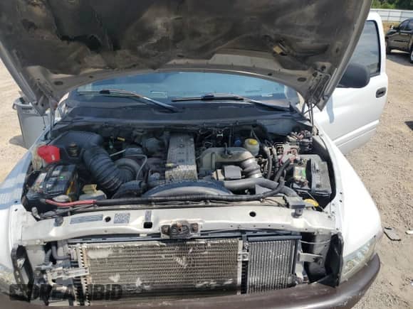 1999 Dodge 3500 z VIN 1B7MF336XXJ597387, wystawiony jako Copart lot #80560715 z przebiegiem 255 388 mil mil oraz Szkoda całkowita • Salvage title. Historia ofert i sprzedaży dostępna na DreamBid. Obrazek 11.