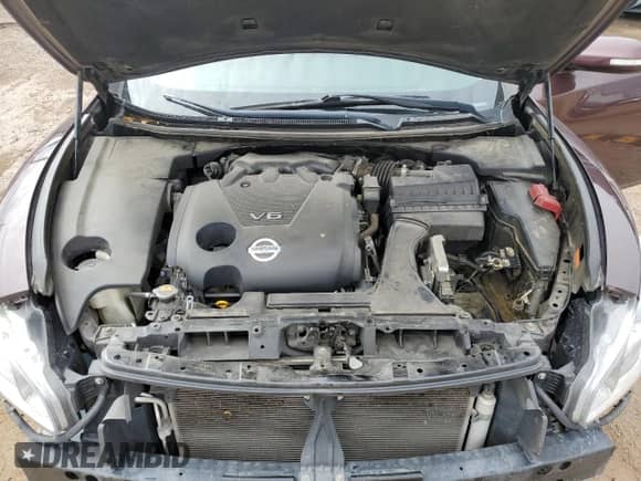 2014 Nissan Maxima SV with VIN 1N4AA5AP7EC460567, listed as a Copart auction lot 81749315 with 95,954 mi miles and Salvage title. Bid and sale history available at DreamBid. Image 11.