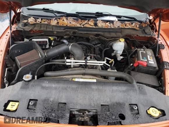 2010 Dodge 1500 Sport с VIN 1D7RV1CT9AS169692, выставлен на аукционе Copart как лот 84539224 с пробегом 186 388 миль миль и Списание • Salvage title. История ставок и продаж доступна на DreamBid. Изображение 12.