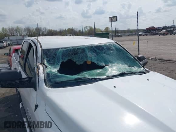 2014 Ram 1500 Big Horn z VIN 1C6RR7LT9ES231624, wystawiony jako IAAI lot #41867542 z przebiegiem 195 414 mil mil oraz . Historia ofert i sprzedaży dostępna na DreamBid. Obrazek 6.