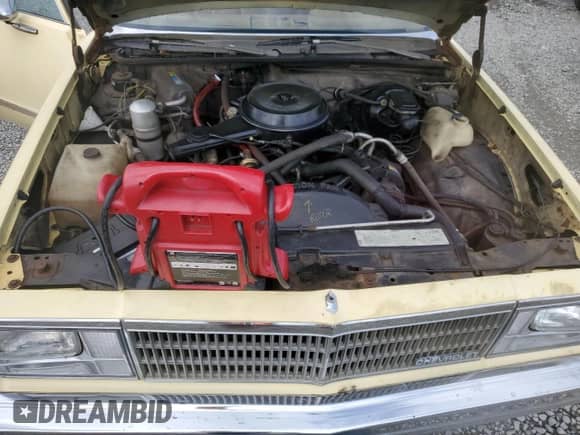 1980 Chevrolet Malibu с VIN 1W35JAK471279, выставлен на аукционе Copart как лот 51444245 с пробегом 95 195 миль миль и Списание • Salvage title. История ставок и продаж доступна на DreamBid. Изображение 12.