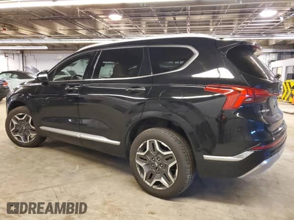 2021 Hyundai Santa Fe Calligraphy с VIN 5NMS5DAL5MH323833, выставлен на аукционе Copart как лот 41337795 с пробегом 54 484 миль миль и Списание • Salvage title. История ставок и продаж доступна на DreamBid. Изображение 2.