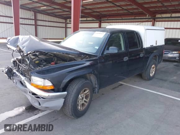 2004 Dodge Dakota SLT with VIN 1D7HL48N14S509550, listed as a IAAI auction lot 43490323 with Not provided miles and . Bid and sale history available at DreamBid. Image 2.
