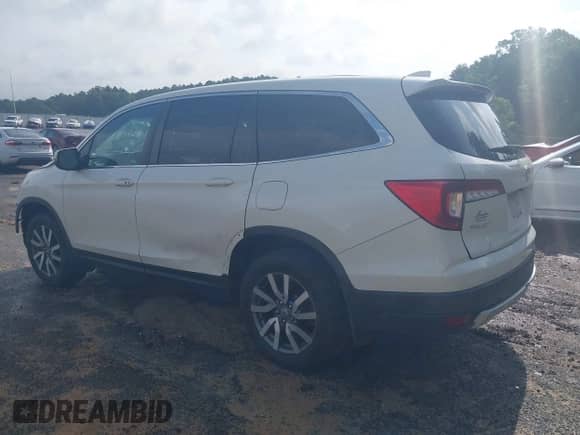 2019 Honda Pilot EX-L with VIN 5FNYF5H54KB001588, listed as a IAAI auction lot 42472595 with 150,254 mi miles and . Bid and sale history available at DreamBid. Image 3.