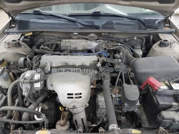 1999 Toyota Camry LE z VIN 4T1BG28K2XU580890, wystawiony jako IAAI lot #42860172 z przebiegiem 117 358 mil mil oraz . Historia ofert i sprzedaży dostępna na DreamBid. Obrazek 10.