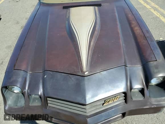 1980 Chevrolet Camaro с VIN 1P87LAL570419, выставлен на аукционе Copart как лот 69473944 с пробегом 25 192 миль миль и Списание • Salvage title. История ставок и продаж доступна на DreamBid. Изображение 11.