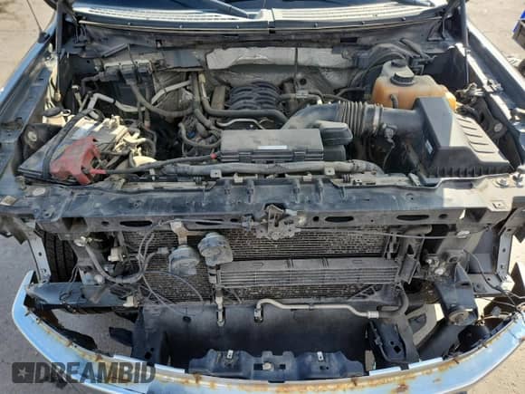 2013 Ford F-150 STX с VIN 1FTFX1EF0DFD48490, выставлен на аукционе Copart как лот 80635395 с пробегом 271 444 миль миль и Списание • Salvage title. История ставок и продаж доступна на DreamBid. Изображение 11.