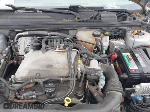 2005 Chevrolet Malibu Maxx LS с VIN 1G1ZT62825F191695, выставлен на аукционе IAAI как лот 42464788 с пробегом 145 928 миль миль и . История ставок и продаж доступна на DreamBid. Изображение 10.