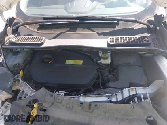 2014 Ford Escape SE с VIN 1FMCU0GX0EUD02856, выставлен на аукционе IAAI как лот 43196714 с пробегом 126 558 миль миль и . История ставок и продаж доступна на DreamBid. Изображение 10.