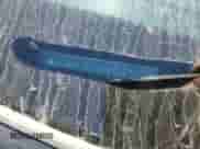 2012 Toyota Camry L z VIN 4T1BF1FKXCU107703, wystawiony jako Copart lot #82700035 z przebiegiem 156 070 mil mil oraz Czysty tytuł • Clean title. Historia ofert i sprzedaży dostępna na DreamBid. Obrazek 13.