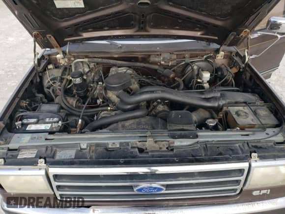 1991 Ford F-150 with VIN 1FTEF15N9MLA28124, listed as a Copart auction lot 83220464 with 49,411 mi miles and Salvage title. Bid and sale history available at DreamBid. Image 12.