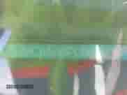 1993 Honda Accord LX z VIN JHMCB7653PC002464, wystawiony jako IAAI lot #42582131 z przebiegiem 243 918 mil mil oraz . Historia ofert i sprzedaży dostępna na DreamBid. Obrazek 9.