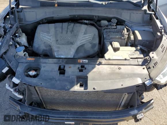 2017 Hyundai Santa Fe SE with VIN KM8SMDHF8HU230964, listed as a Copart auction lot 87381135 with 99,556 mi miles and Salvage title. Bid and sale history available at DreamBid. Image 12.