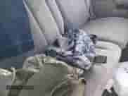 1999 Ford Explorer XL with VIN 1FMZU32X6XZB34133, listed as a IAAI auction lot 41391700 with 275,611 mi miles and . Bid and sale history available at DreamBid. Image 8.