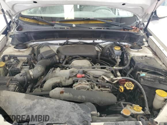 2010 Subaru Forester X Premium with VIN JF2SH6CC1AH732684, listed as a Copart auction lot 83993475 with Not provided miles and Salvage title. Bid and sale history available at DreamBid. Image 12.