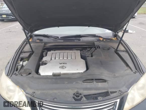 2007 Lexus ES 330 с VIN JTHBJ46G172101952, выставлен на аукционе IAAI как лот 43230865 с пробегом 192 839 миль миль и . История ставок и продаж доступна на DreamBid. Изображение 10.