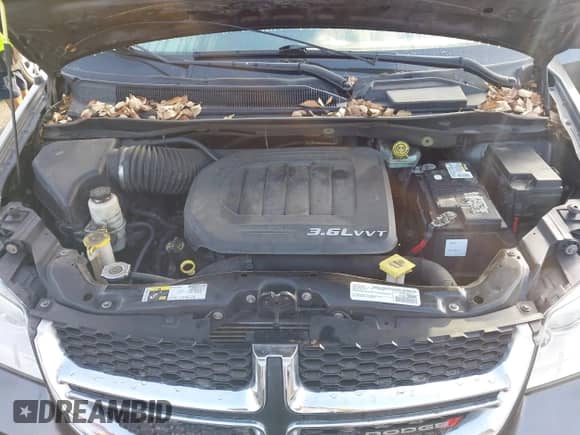 2016 Dodge Grand Caravan SXT z VIN 2C4RDGCG4GR270751, wystawiony jako IAAI lot #43545529 z przebiegiem 162 049 mil mil oraz . Historia ofert i sprzedaży dostępna na DreamBid. Obrazek 10.