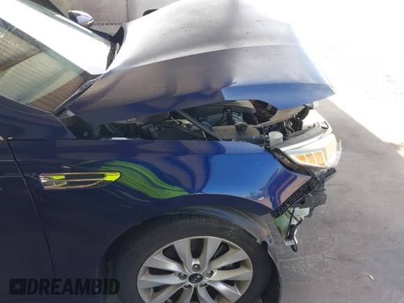 2016 Kia Optima EX with VIN 5XXGU4L31GG005233, listed as a IAAI auction lot 42763818 with 131,055 mi miles and . Bid and sale history available at DreamBid. Image 6.