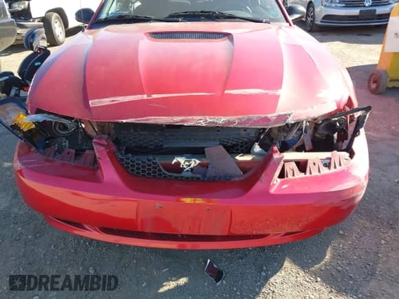 2001 Ford Mustang Standard with VIN 1FAFP40431F229681, listed as a IAAI auction lot 43383248 with 69,808 mi miles and . Bid and sale history available at DreamBid. Image 6.