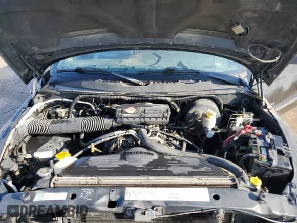 2001 Dodge 1500 with VIN 3B7HC13Z71M573065, listed as a Copart auction lot 64999665 with 176,118 mi miles and Non repairable. Bid and sale history available at DreamBid. Image 11.